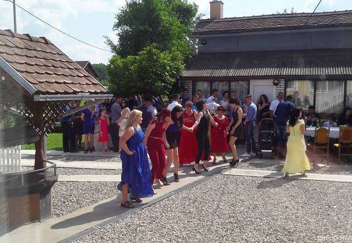 plavsici svadba