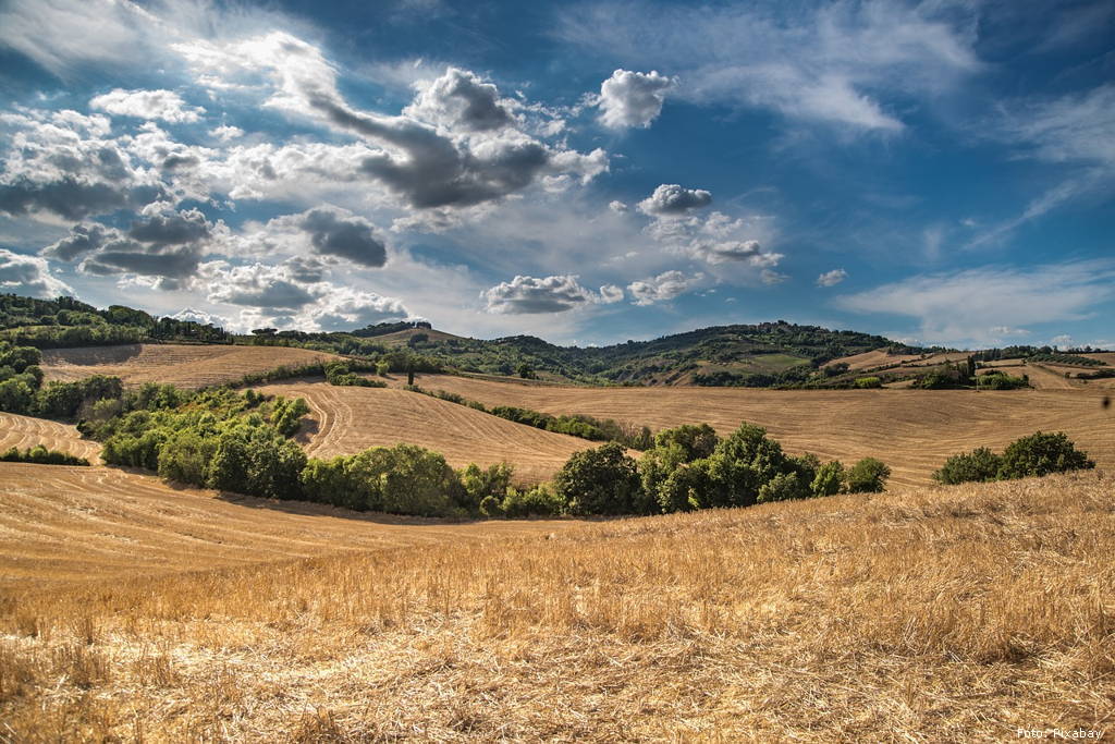 polje pixabay