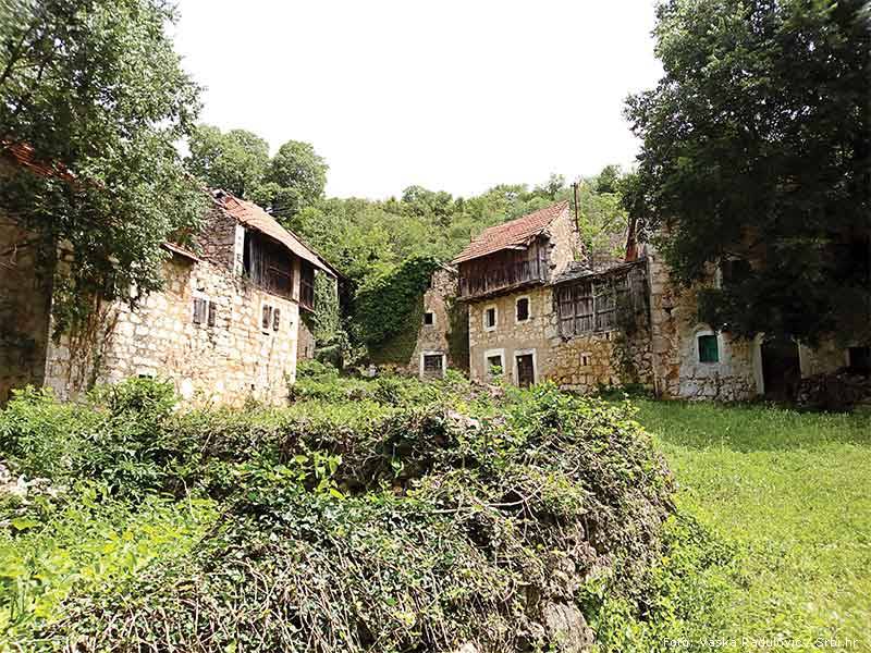 popovic dvor