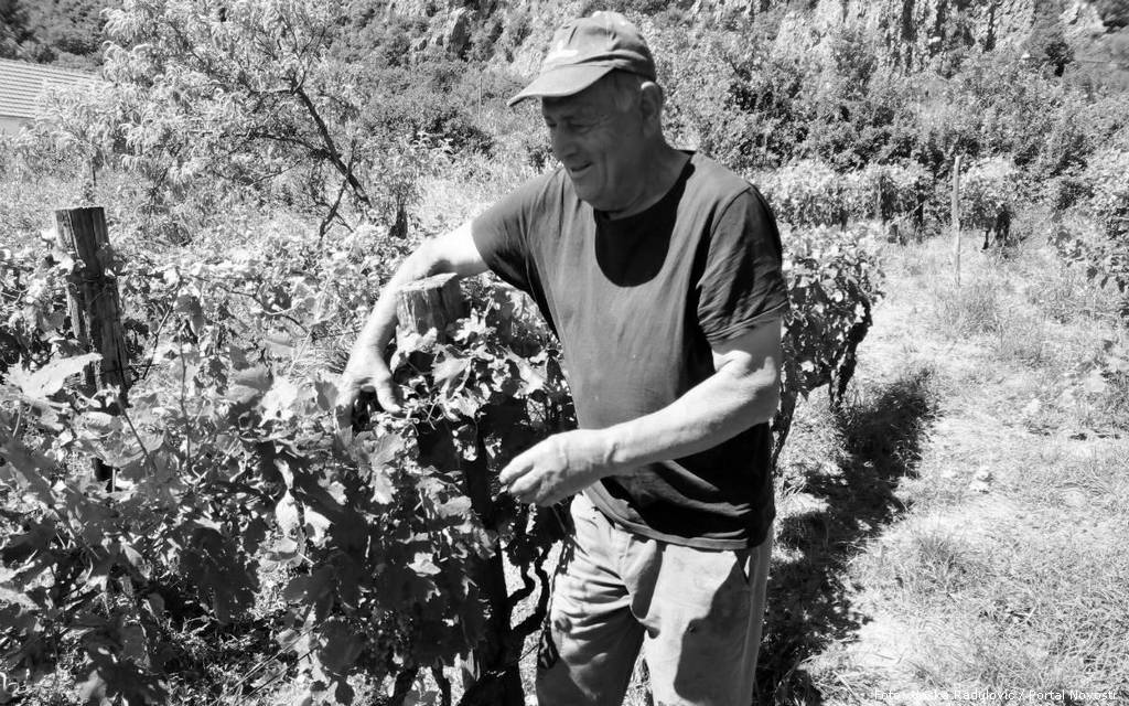 vlade vujatovic