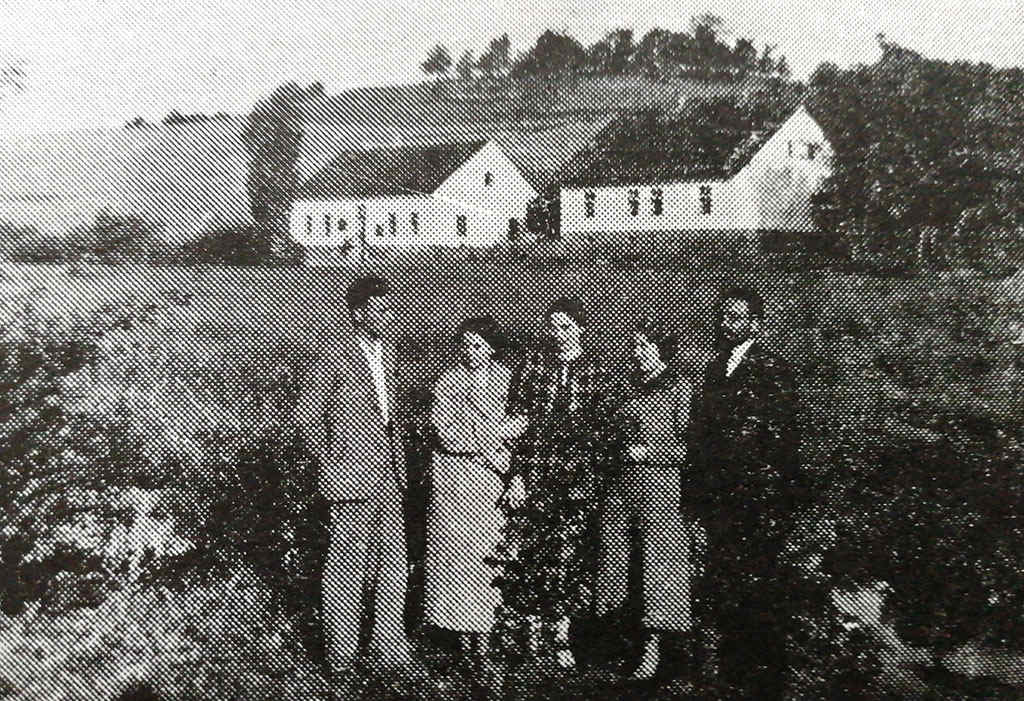 javnica