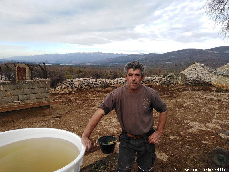 djuro bogunovic