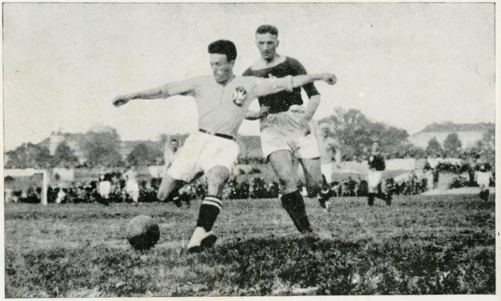 zinaja 1