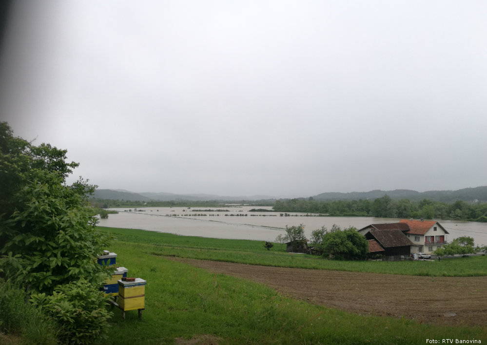 dvor