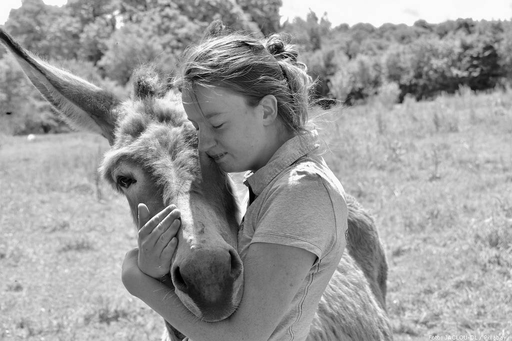 young girl with her donkey 4256995 1280