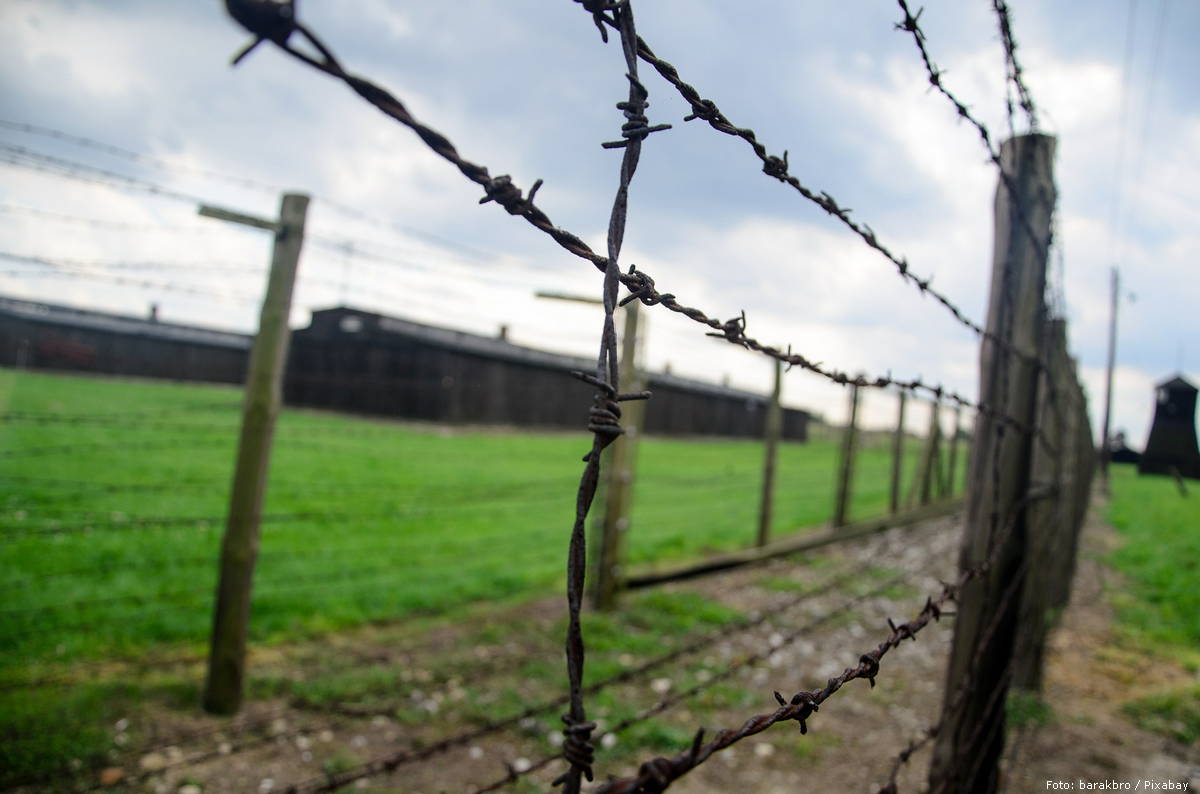 fence 444416 1920