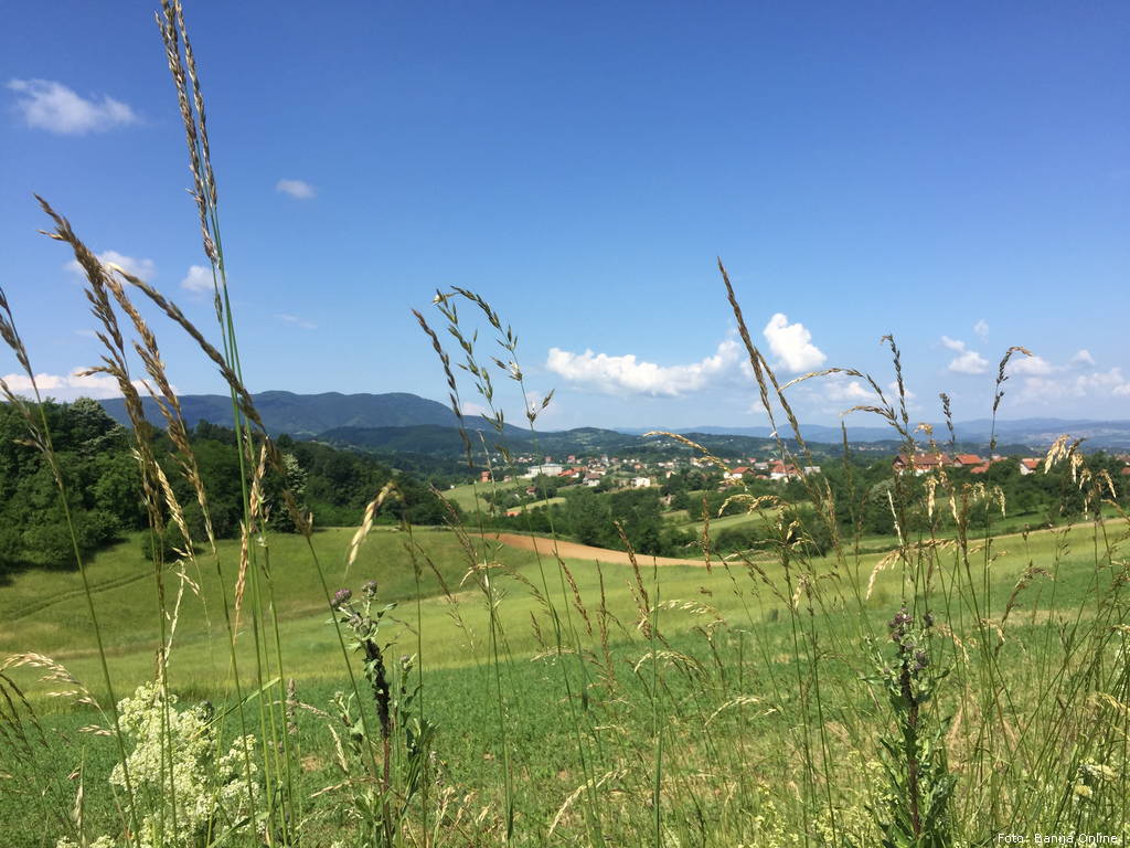loznica
