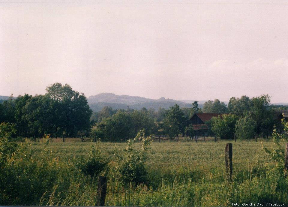 osjecenica