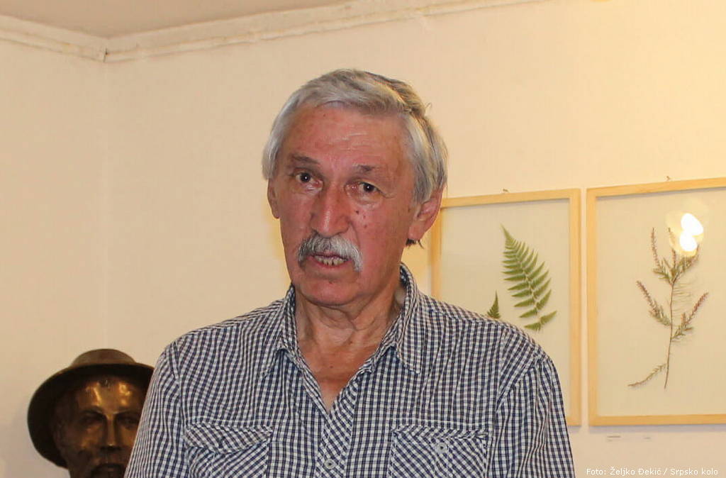 nikola cerovac