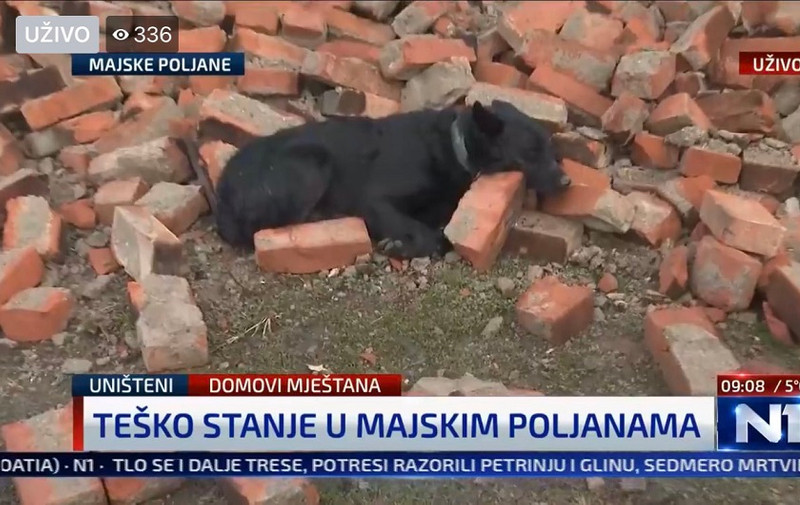 Foto: N1 Hrvatska snimak ekrana pas potres majske poljane