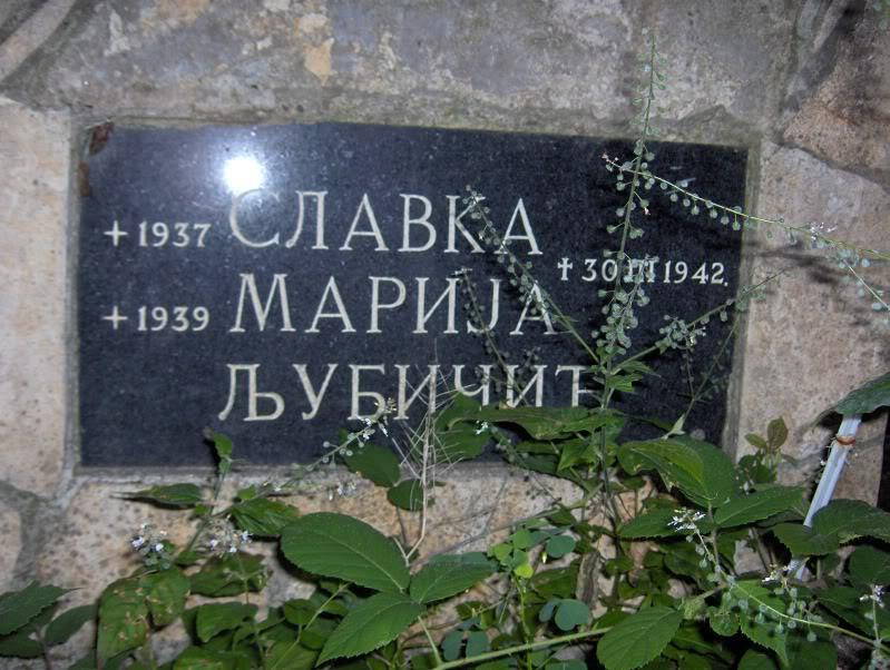 Krv na liscu 1
