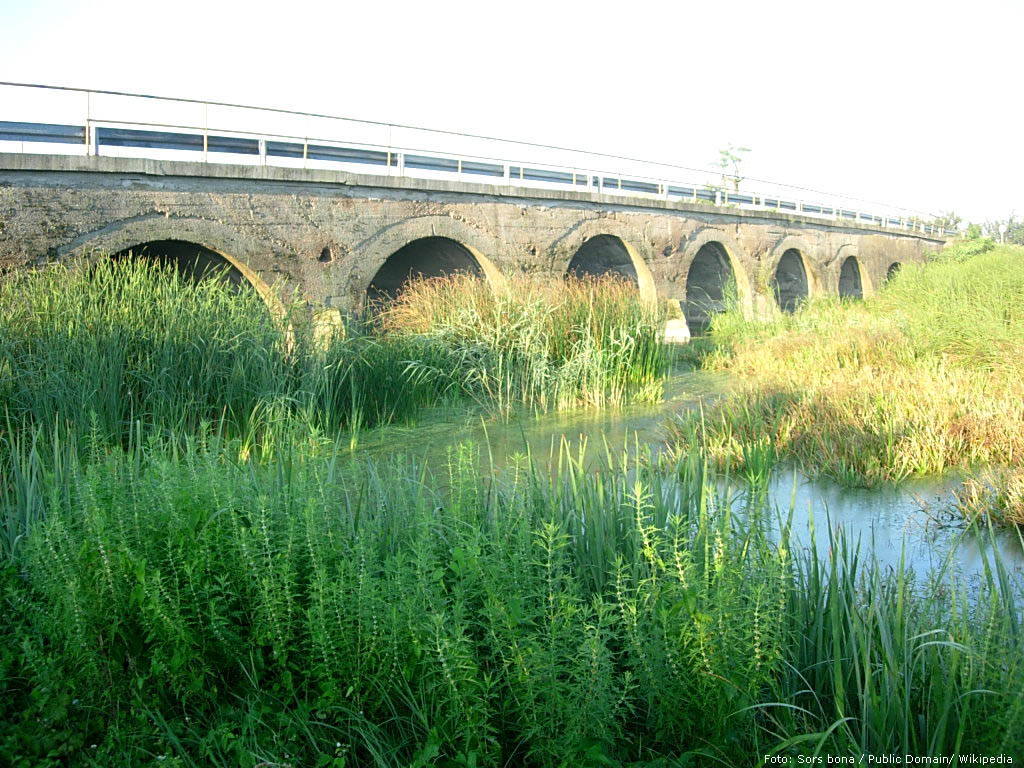 devet grla