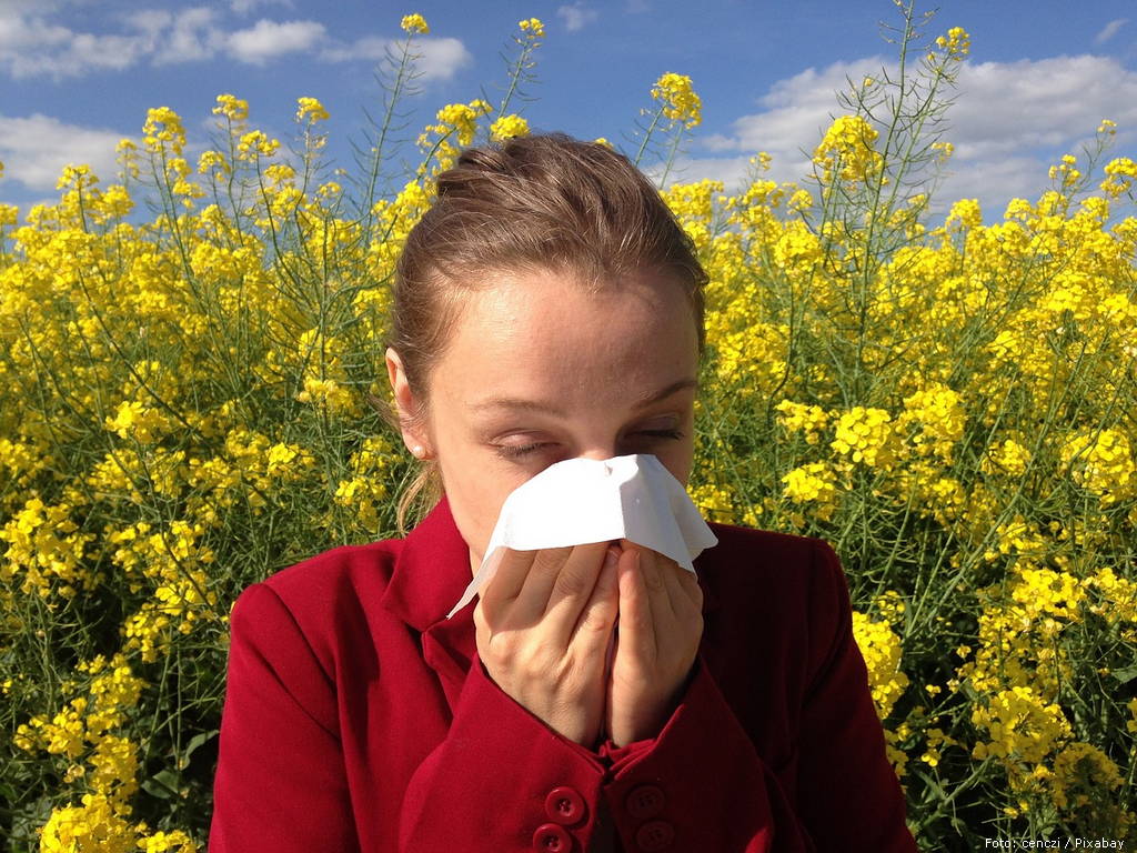 Ilustracija allergy 1738191 1280