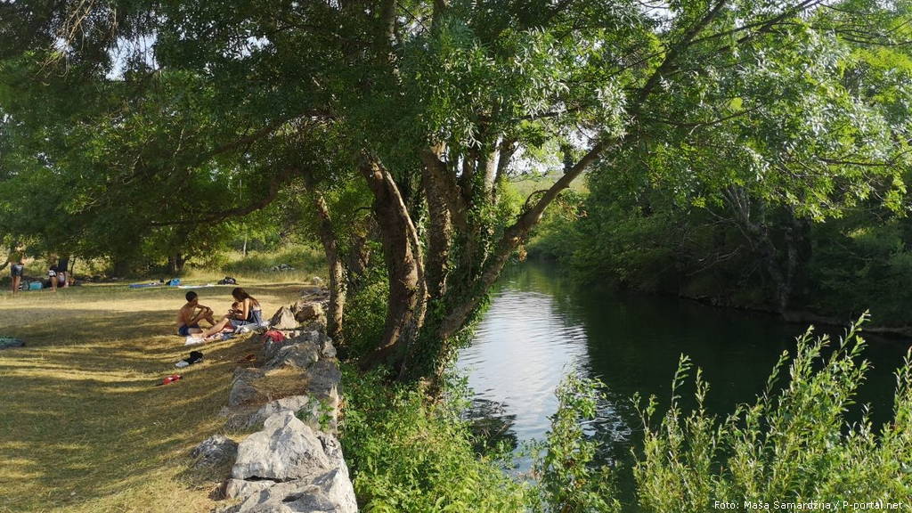 mokro polje