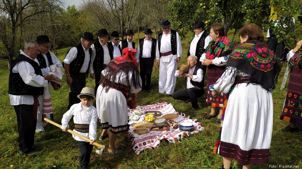 slavonci