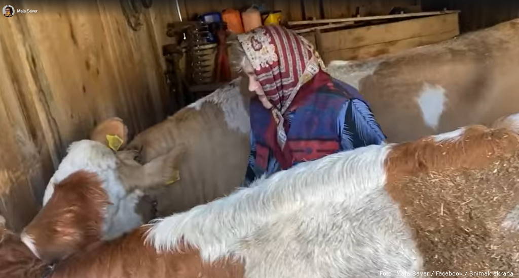 Foto: Maja Sever / Facebook / Snimak ekrana maja sever baka sa banije