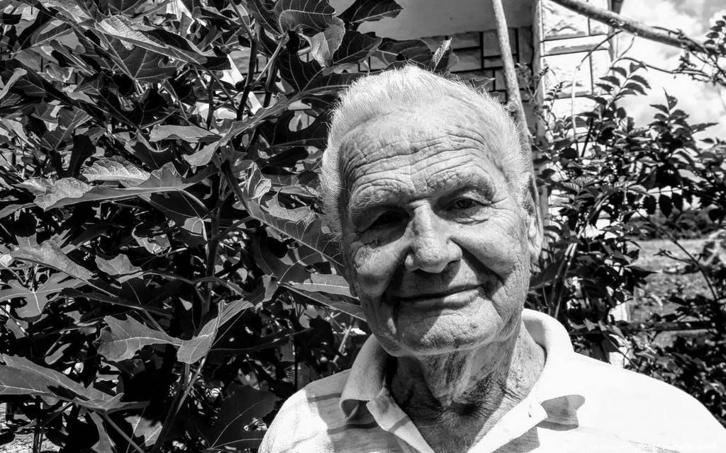 Mile Dakić