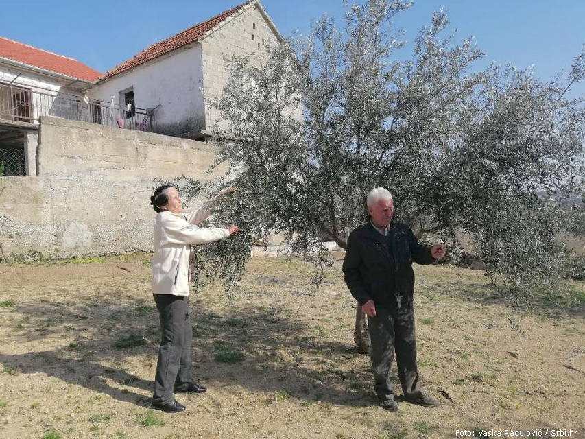 Jovan i Mileva Ivanišević