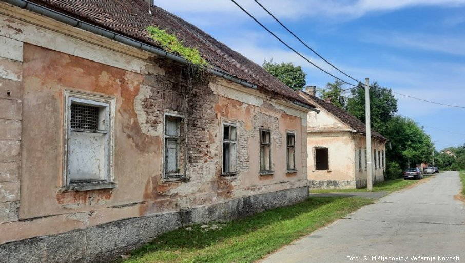 Foto: S. Mišljenović / Večernje Novosti dubica 1