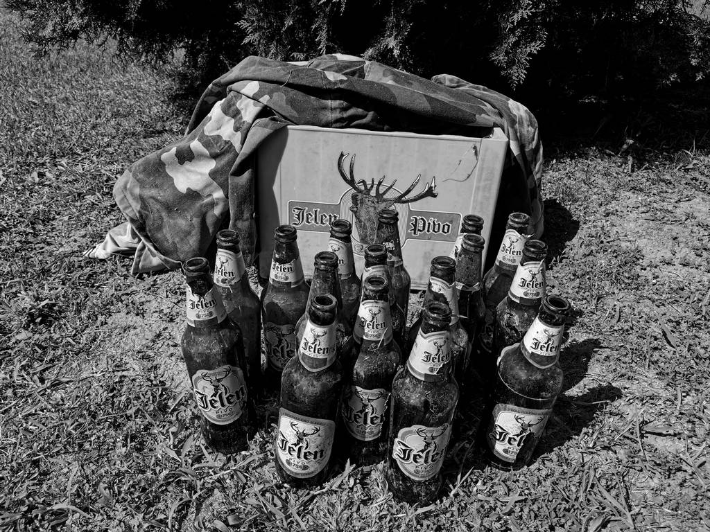 jelen pivo