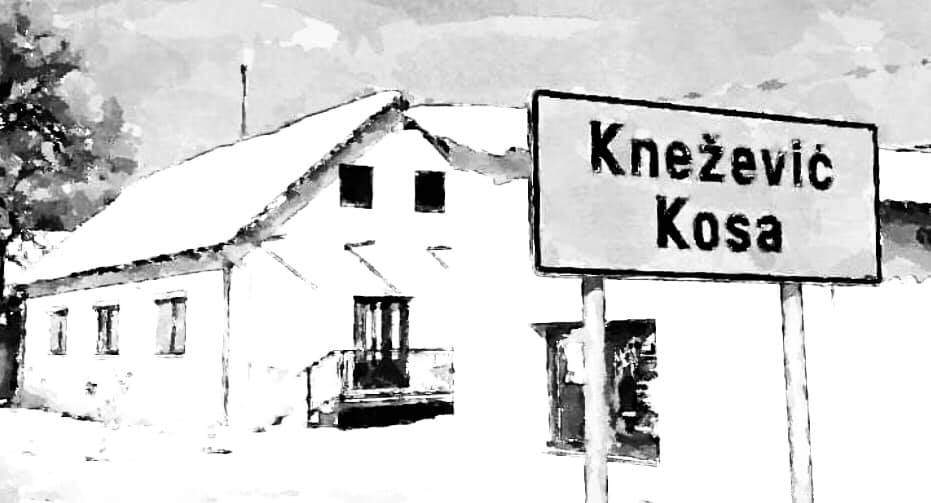 zeljko kresojevic