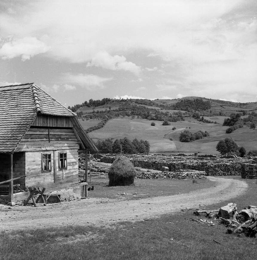 Lager za prodaju drva u Bojni 1961. godine