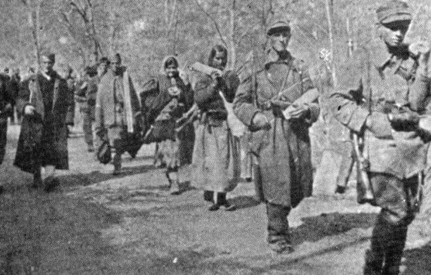 sedma banijska