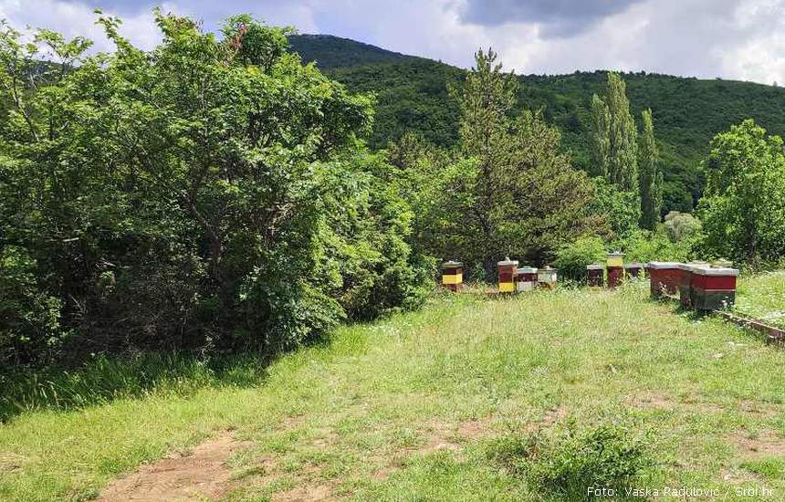 Zrmanja 4