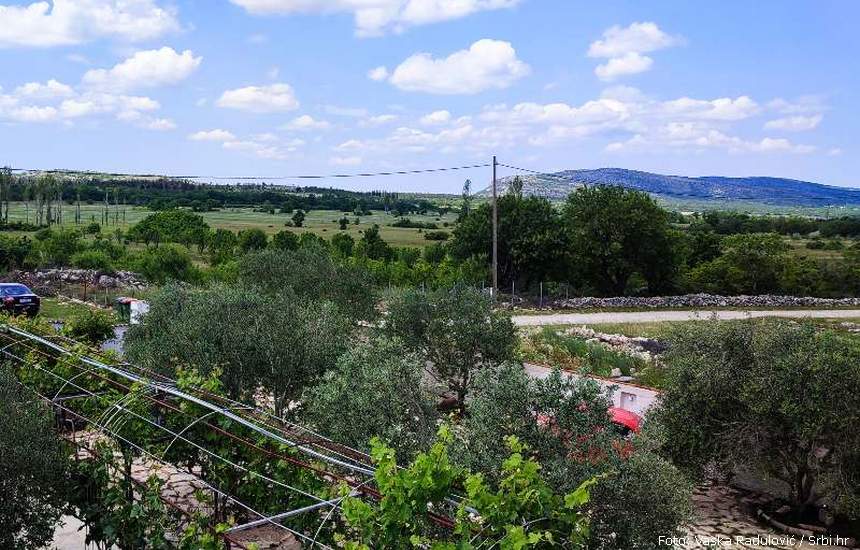 Krnjeuva 3