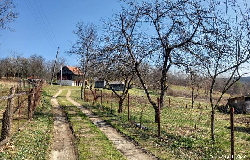 Detalj sa Banije | Foto: Autoričina arhiva