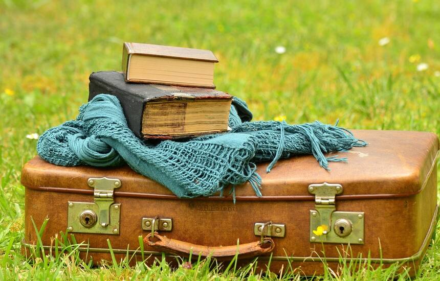 suitcase 1482697 1280 congerdesign from Pixabay