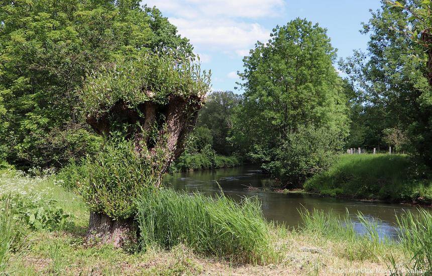 river landscape 5265970 1280