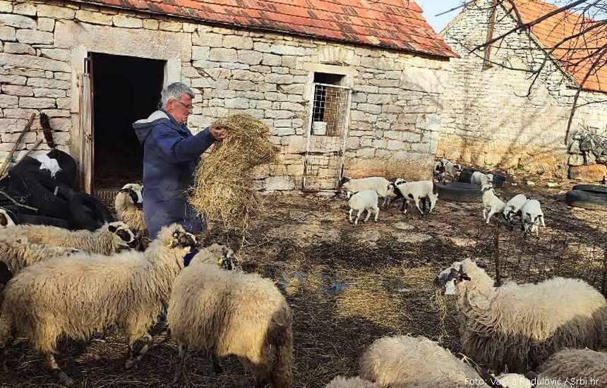 Vuk Kistanje Strpci Sasa Strbac