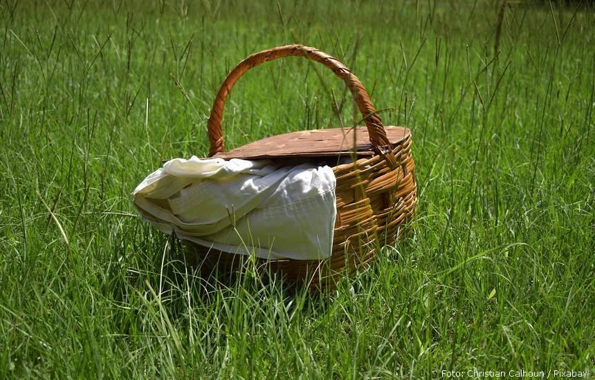 picnic 5421517 1280