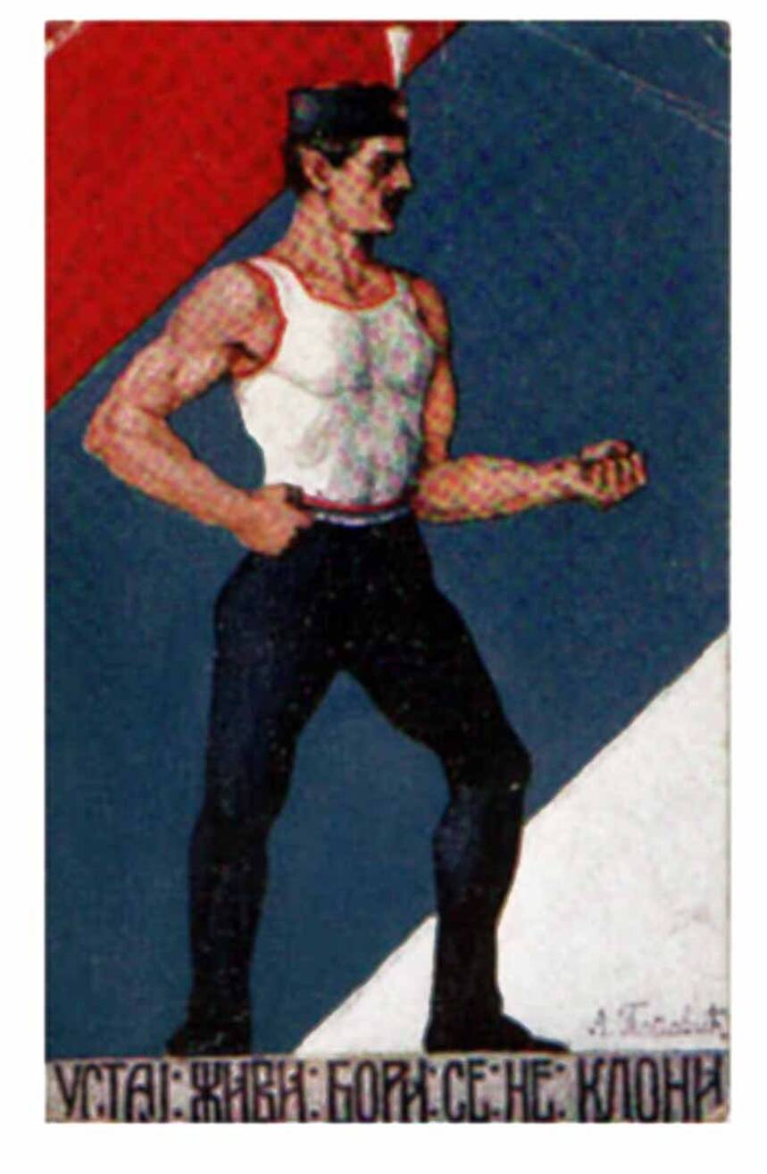 Srpski soko