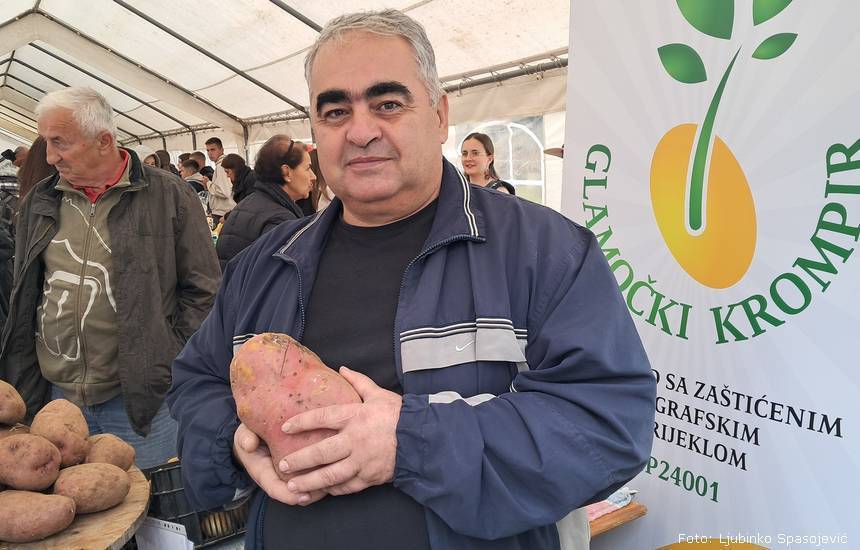 Ilija Radoja