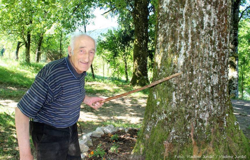 petar vidnjevic