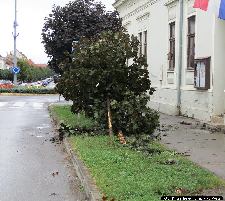 glina5.jpg