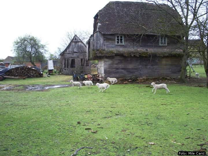 banijska kuća