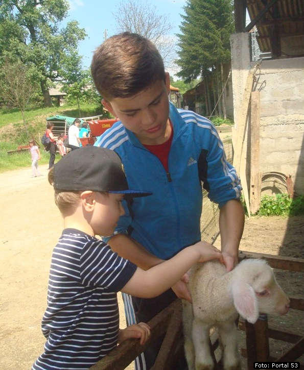 Kockice_kod_Dzakula_01.jpg