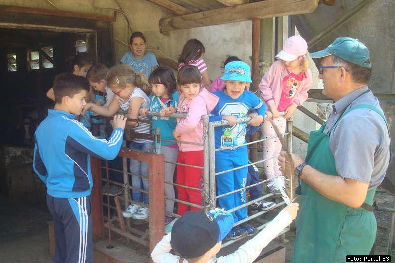 Kockice_kod_Dzakula_06.jpg