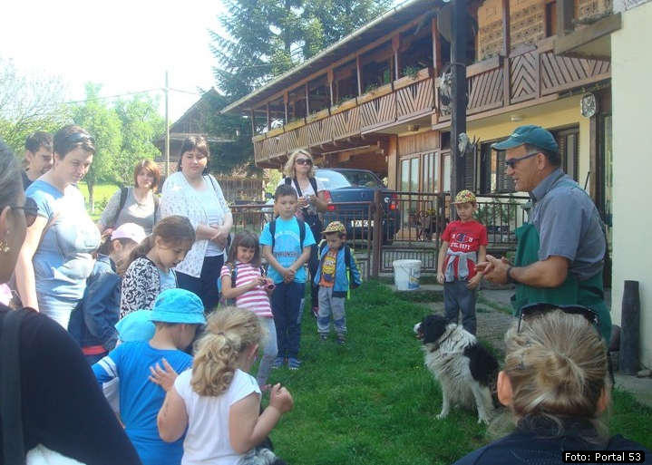 Kockice_kod_Dzakula_09.jpg