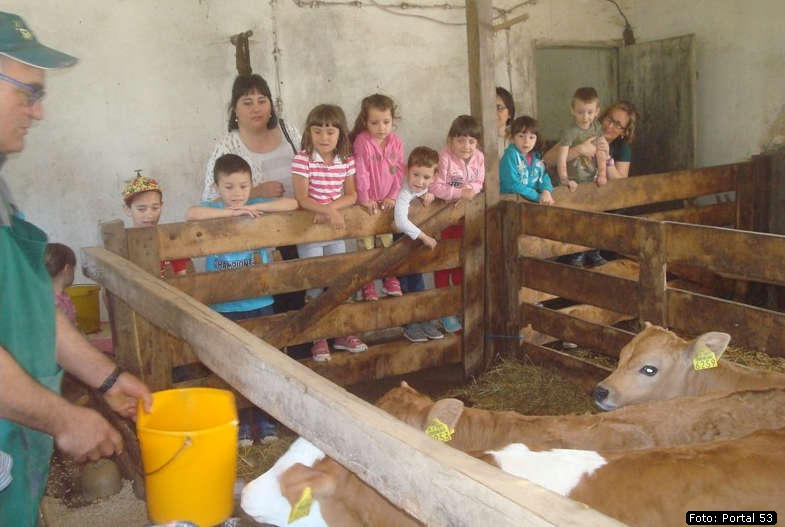 Kockice_kod_Dzakula_10.jpg