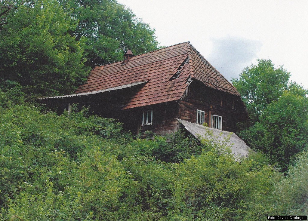 Komora_iz_srca_hrasta_6.jpg