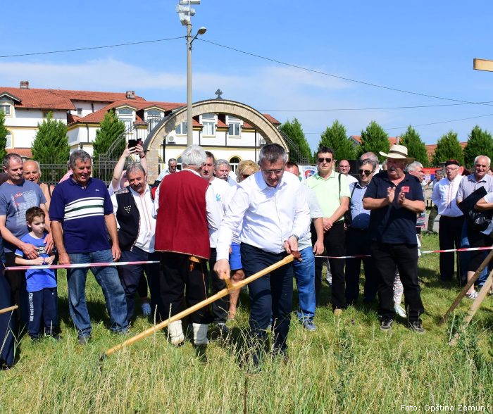 dejan matic opstina zemun