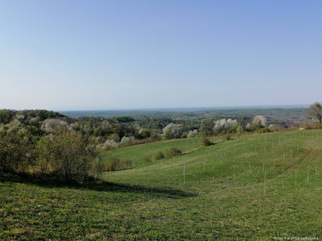 Otac_Sasa_pomoc_36.jpg