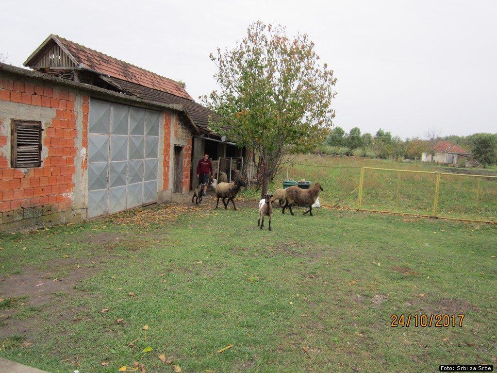 Radomirovici_5.jpg
