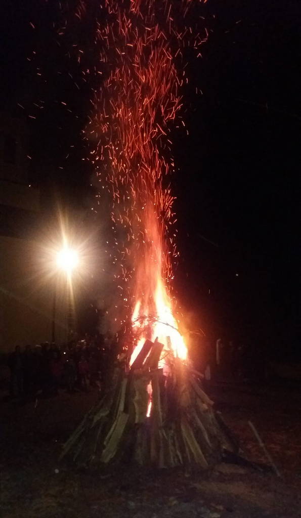 Sjenicak_Badnjak_4.jpg