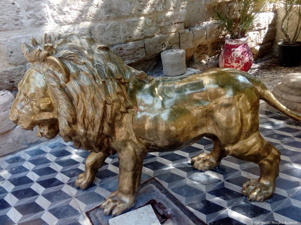 Lav na ulazu u manastir Gerasima Jordanskog