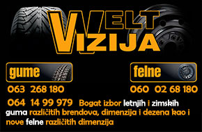 welt vizija